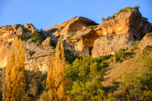 Sandstone cliffs in a golden light in the fall (autumn) with golden poplar trees in the foreground
