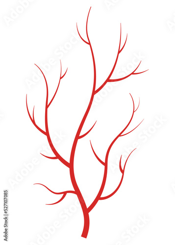 Human veins. Red silhouette vessel, arteries or capillaries on white background. Concept anatomy element for medical science. Vector isolated symbol of blood system