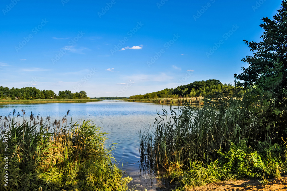 summer landscape, lake view on a sunny day