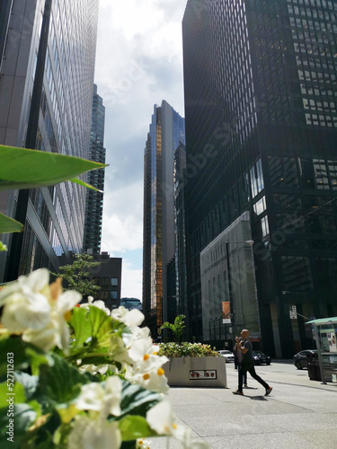 Photography Business district skyscrapper financial toronto canada business building flower