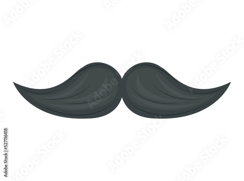black mustache male accessory