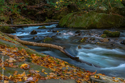 Fotografia Autumn Forest Stream