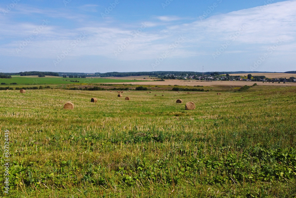 Fototapeta premium Aerial view of agro fields with harvesting and haystacks