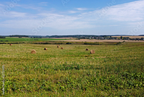 Aerial view of agro fields with harvesting and haystacks