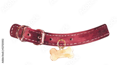 Watercolor red leather dog,animal collar ,bone tag illustration, Hipster funny clothes accessories, leash, lead, costume, character creator decor fashion element isolated. Cute drawing clipart 