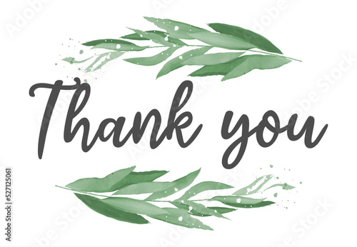 Thank You Hand Lettering. Typography Design Inspiration. Green colored. On a white background. Vector