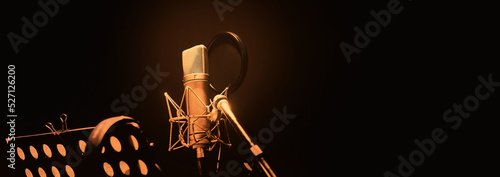 Quadro em tela Professional microphone and anti vibration on mic stand