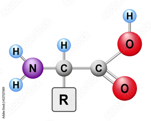 Amino acid ball symbol vector illustration. The structure of an alpha amino acid in its un-ionized form.