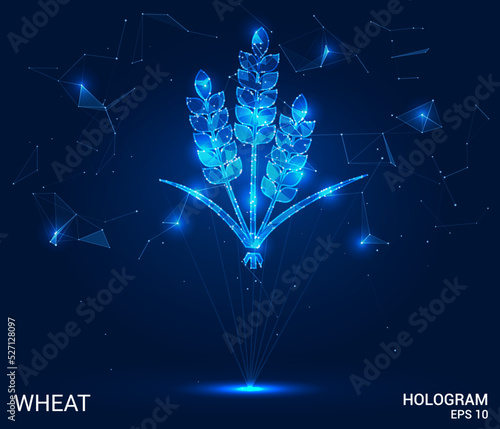 Hologram wheat. The wheat logo consists of polygons, triangles of dots and lines. Wheat icon is a low-poly compound structure. Technology concept vector.