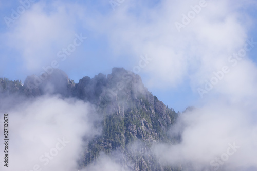 Canadian Nature Landscape with trees and mountains. Sunny Summer morning. Near Tofino and Ucluelet, Vancouver Island, BC, Canada. Background.