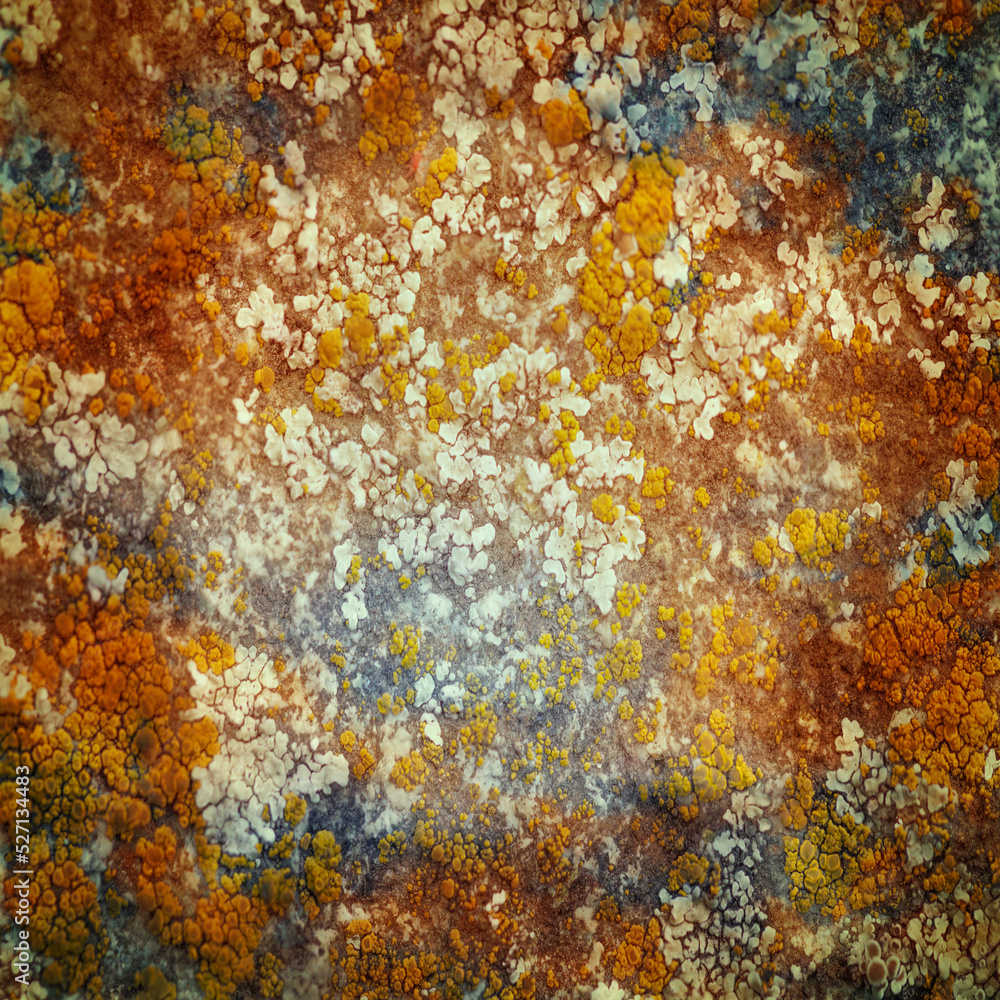 colorful rusty old metal texture or background 