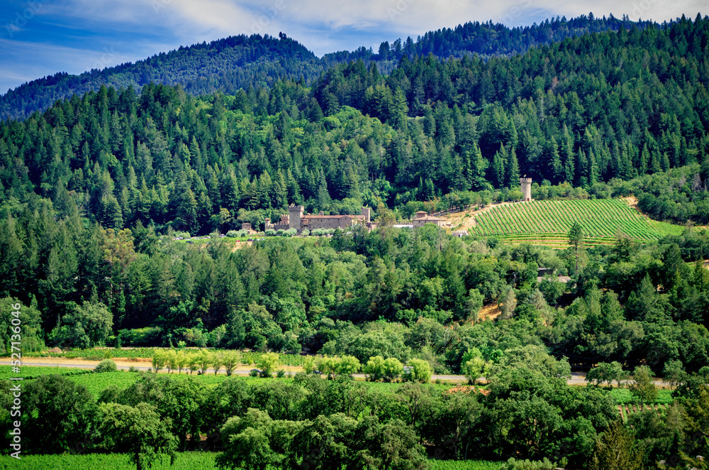 One of many vineyards in in the forests of Napa Valley, California One of many vineyards in in the forests of Napa Valley, California