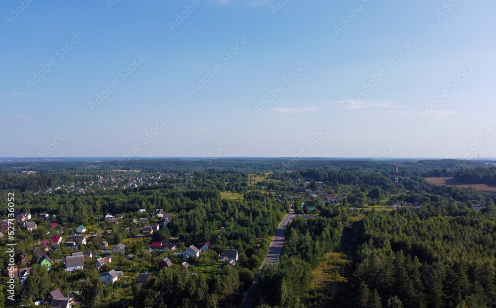 Aerial view of the green summer forest with trees