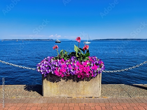 Seaside walk along the shoreline of Sidney BC, flower bed with red and purple flowers . boats in the background. Selective focus  © pr2is
