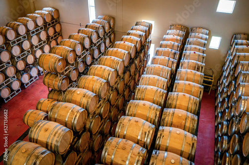 wine barrels aging in a cellar