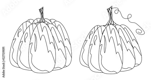 A set of vector pumpkins for Halloween, a symbol of the Halloween holiday. Beautiful pumpkins harvesting autumn harvest. For use on banners, postcards, invitations, printing on clothes, mugs and more photo