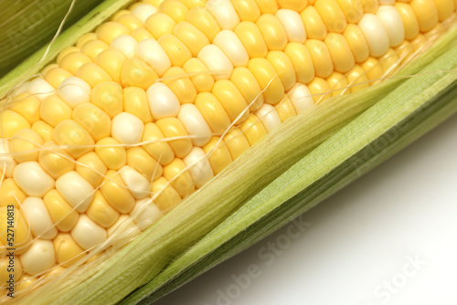 白背景のトウモロコシ
