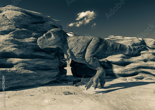 t rex the strongest dinosaur passing by the sand and stone © DM7