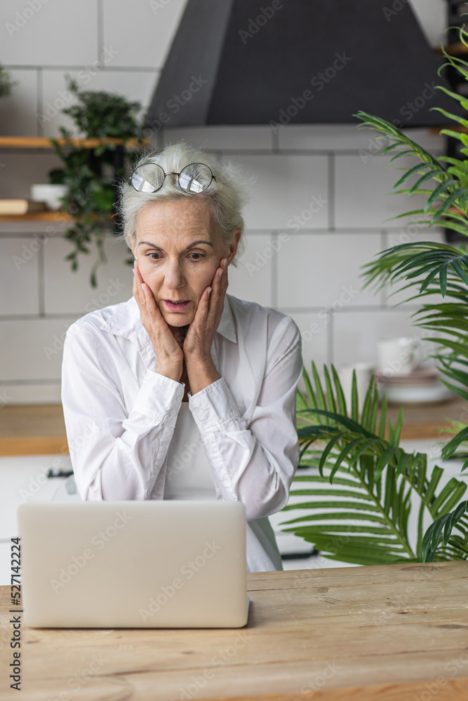 Attractive senior woman with grey hair working at home using her laptop. Concept of mature female using technology, remote freelance work for elder people. Active life of pensioner, social media Attractive senior woman with grey hair working at home using her laptop. Concept of mature female using technology, remote freelance work for elder people. Active life of pensioner, social media