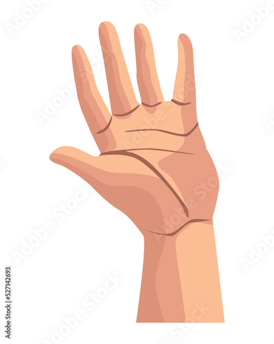 hand human open