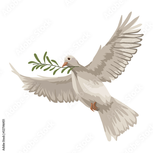 Fotografiet dove flying with olive branch