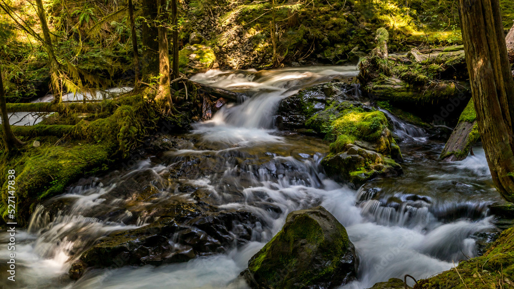 Panther Creek Falls in the Wind River Valley in Skamania County, Washington Panther Creek Falls in the Wind River Valley in Skamania County, Washington