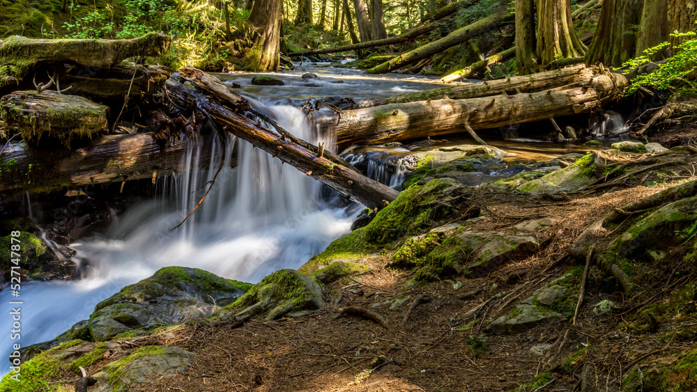 Fototapeta premium Panther Creek Falls in the Wind River Valley in Skamania County, Washington