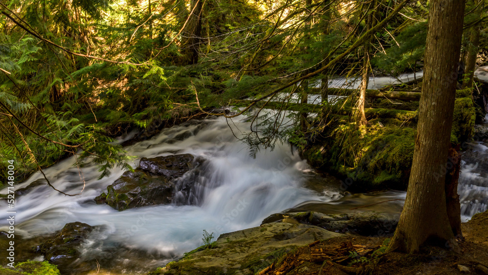 Panther Creek Falls in the Wind River Valley in Skamania County, Washington Panther Creek Falls in the Wind River Valley in Skamania County, Washington