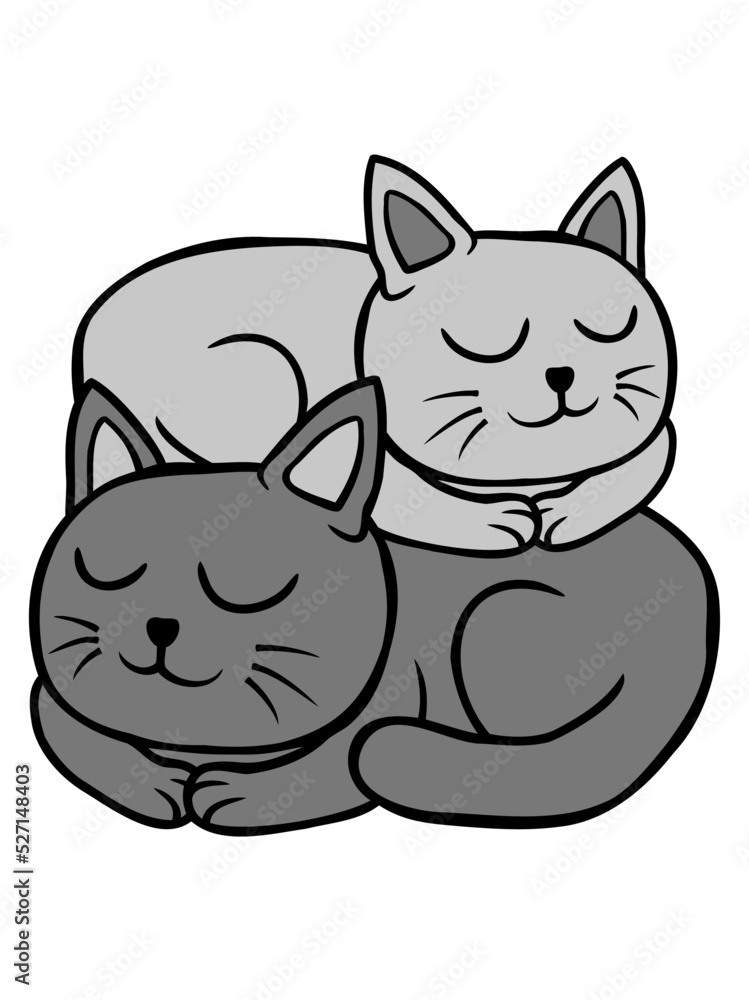 2 Katzen schlafen aufeinander 2 Katzen schlafen aufeinander