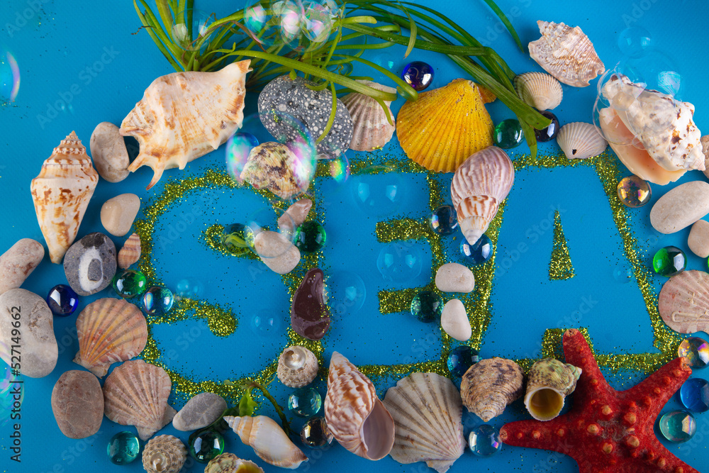 Sea title on blue background. Top view on variety of sea shells, starfish, stones, seaweed and bubbles