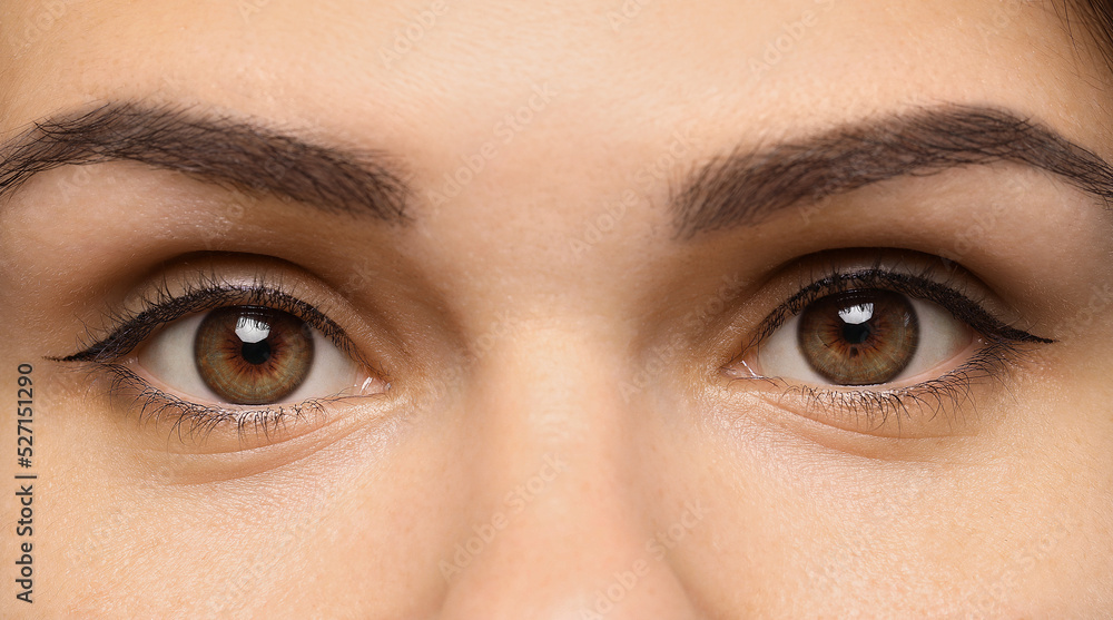 Fototapeta premium Closeup view of woman with beautiful eyes. Banner design