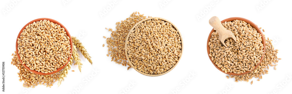 Set with bowls of wheat grains on white background, top view. Banner design Set with bowls of wheat grains on white background, top view. Banner design