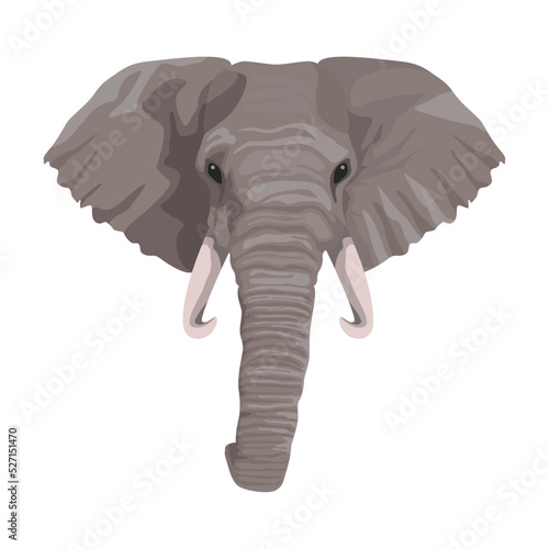 elephant head wild animal