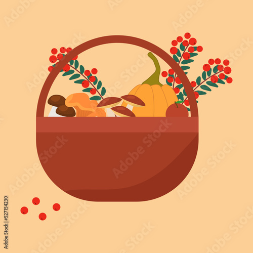 Harvest basket with apples, pumpkin mushroom rowanberry autumn leaves. Fall harvest basket isolated on white vector illustration.