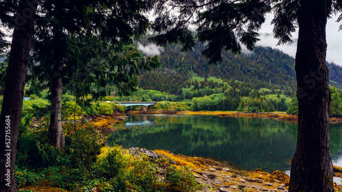 Obraz na plátně Trees and bridge reflected in placid waters of Skidegate Inlet from Bearskin Bay, Haida Gwaii, BC, with amber seaweed exposed by receding tide
