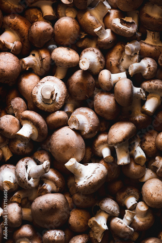 Details of freshly picked mushrooms photo