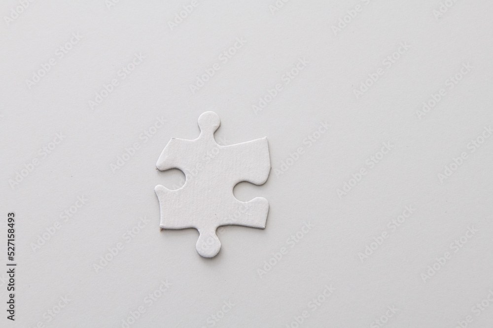 Obraz premium Single puzzle piece - blank, studio shot on white