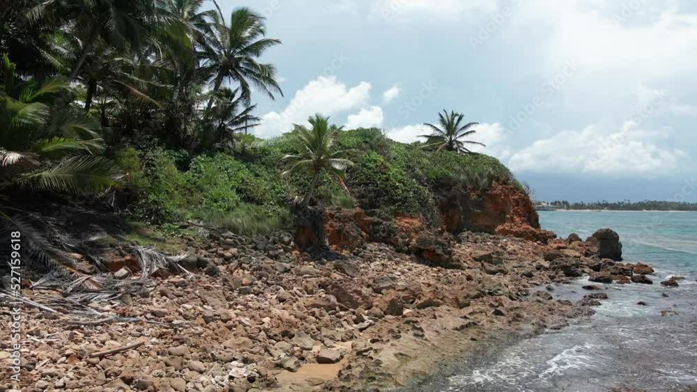 Rocky Caribbean Secluded Cove with Palm Trees Rocky Caribbean Secluded Cove with Palm Trees