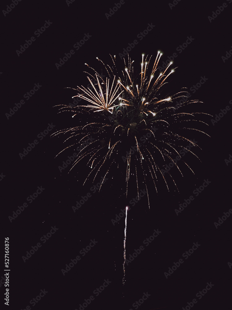 fireworks in the sky fireworks in the sky
