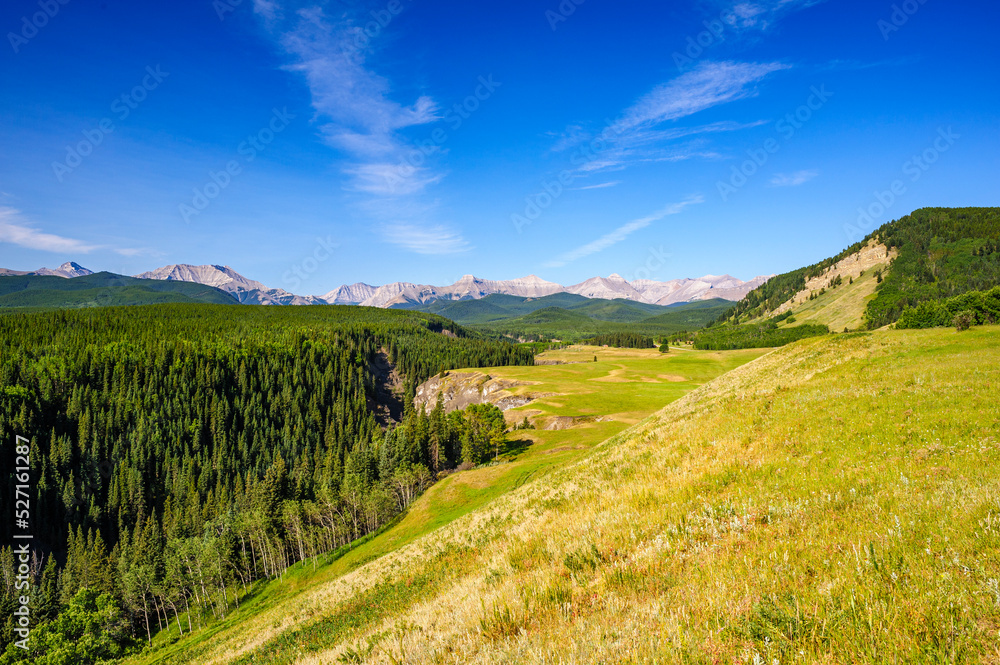 Nash Meadow, Bighorn Wildland Provincial Park