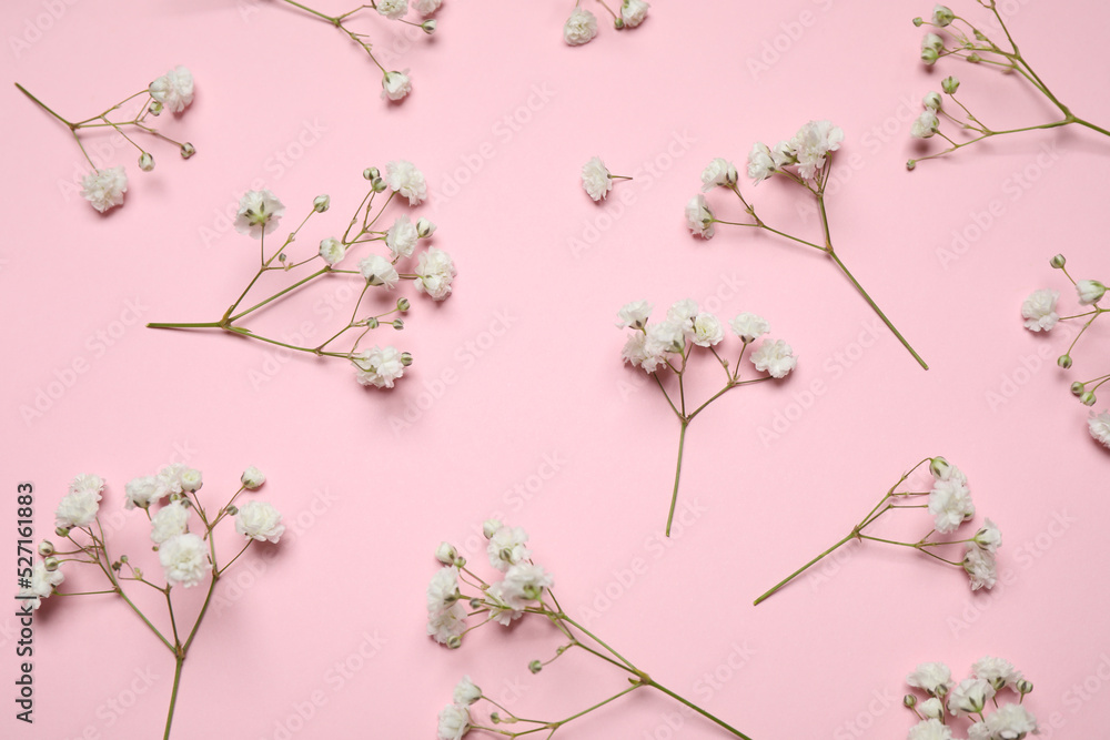 Beautiful floral composition with gypsophila flowers on pink background, flat lay