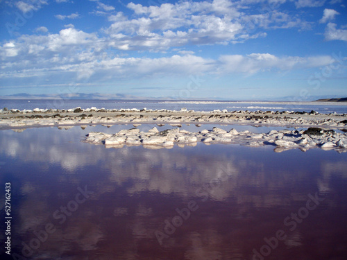 Center of the Spiral Jetty photo