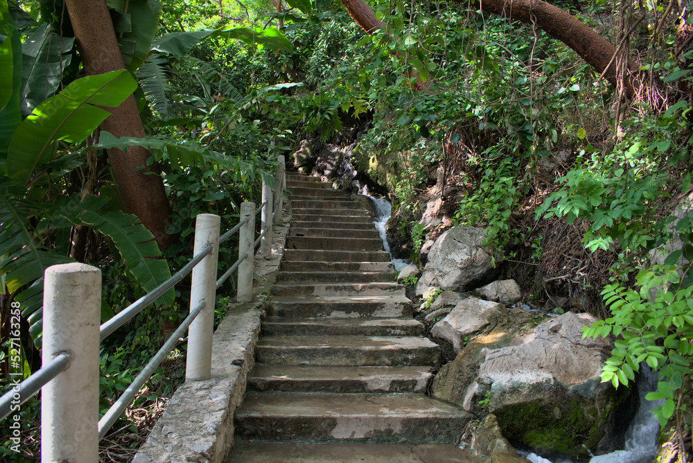 Staircase surrounded by trees, vegetation and a small river to one side