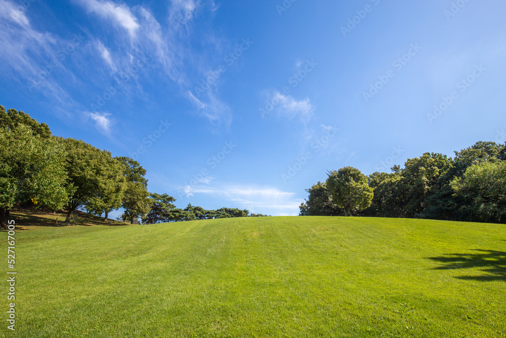 landscape with sky