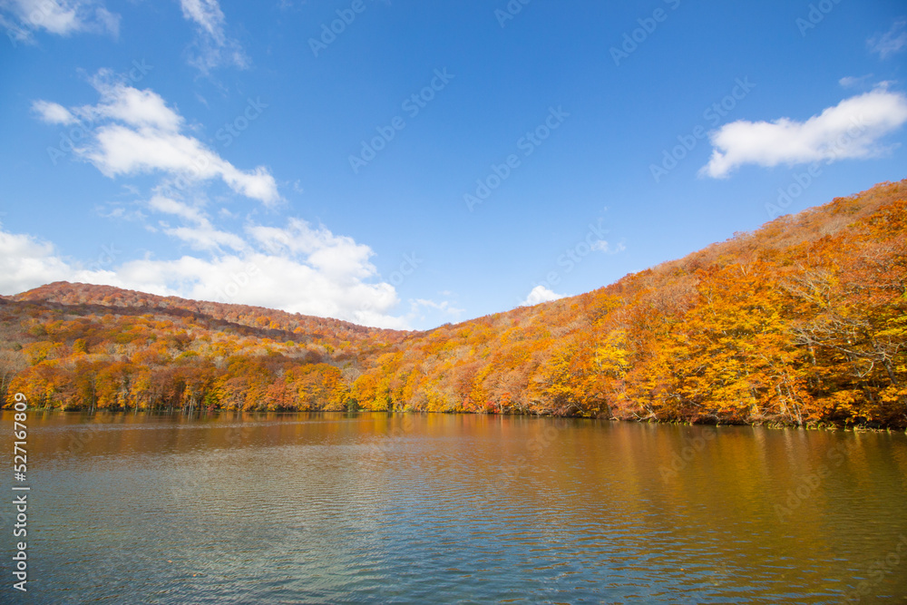 Beautiful landscape in Autumn at Tsuta Onsen (Hotspring), Aomori, Japan