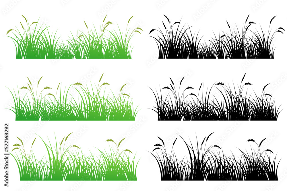 reeds grass. reeds silhouette - obrazy, fototapety, plakaty 