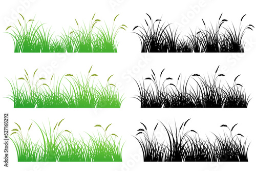 reeds grass. reeds silhouette