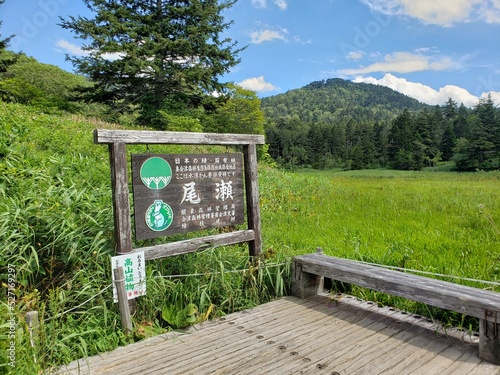 尾瀬国立公園をハイキング