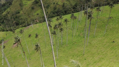 Cocora Valley in Colombia from Above | Aerial View of Cocora Valley