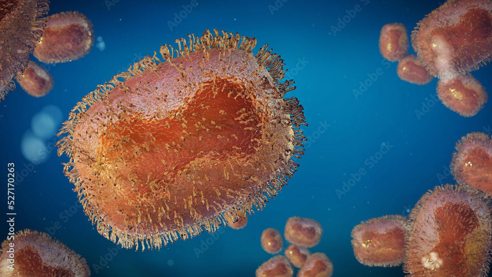 Naklejka premium Monkeypox virus, one of the human orthopoxviruses, pathogen closeup, microbiology background